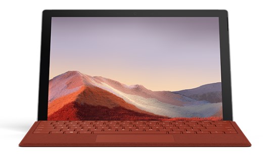 平阳清洁和维护 Surface